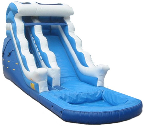 Dolphin Inflatable Slide