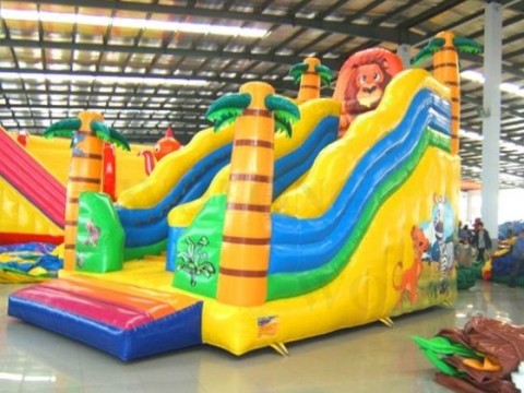 CD-IS36 Lion Slide 7x4x5.3m